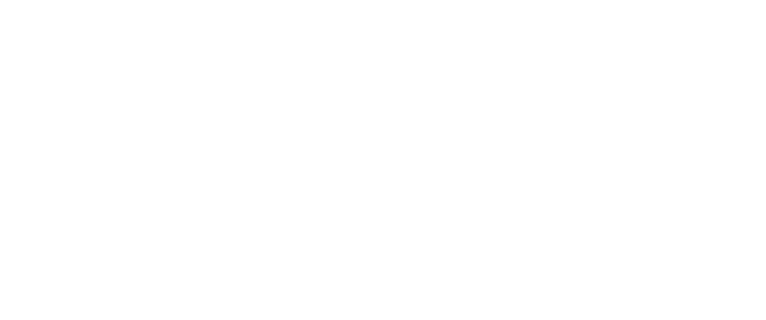 The SARI Platform Logo - White